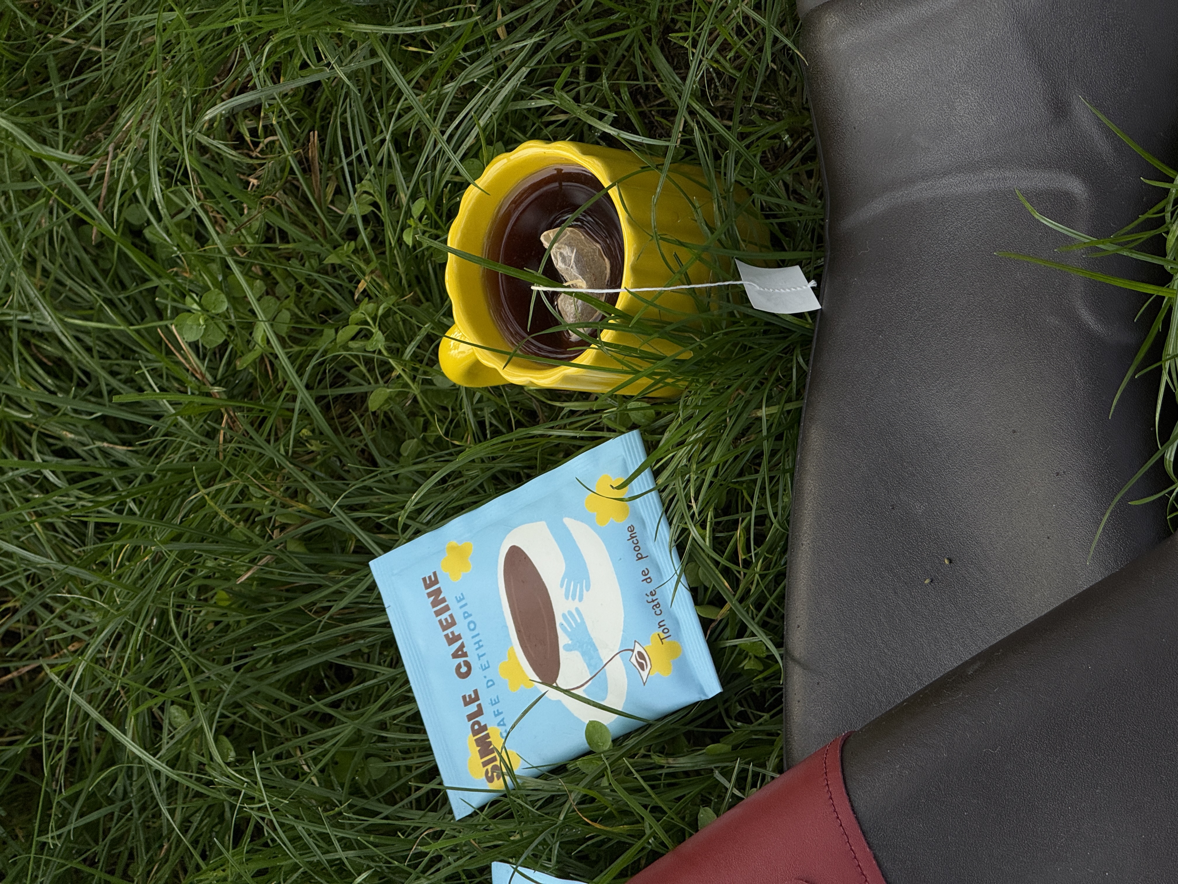 Lea jplf ginterdaele simple caféine