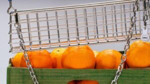 credits: instagram @nickbentelstudio