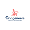 <span style='color: #666666;'>Account Executive - Bridgeneers</span>
