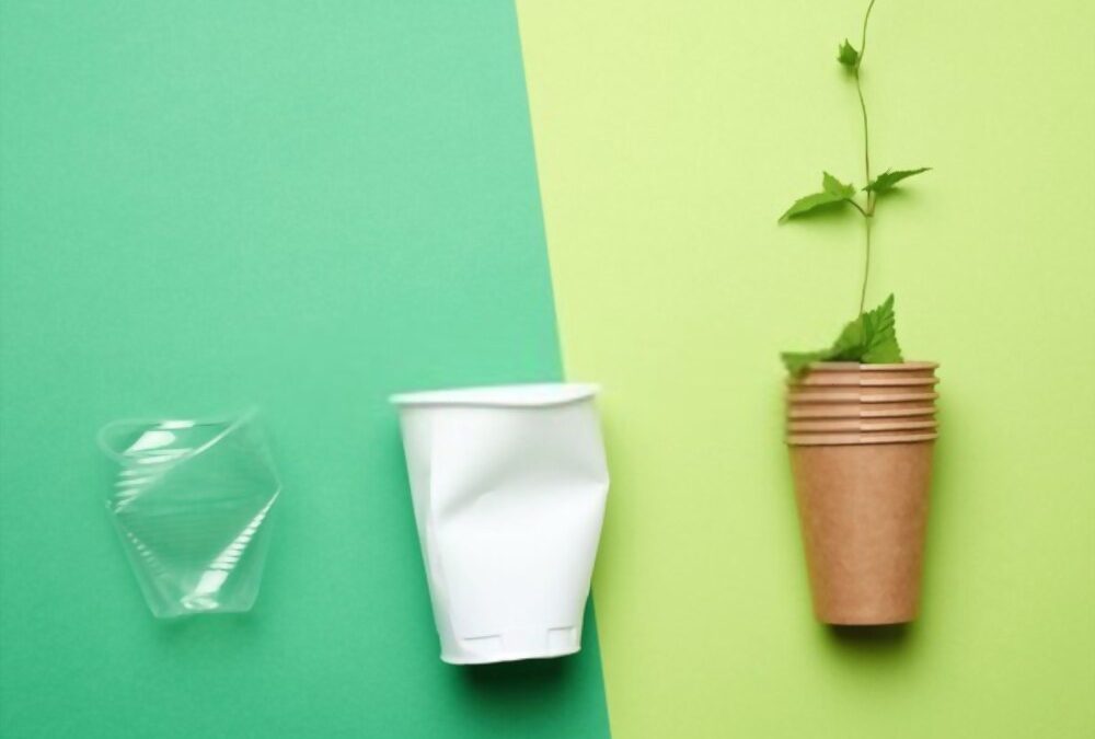 Gobelet en carton : l’alternative écologique pour remplacer le plastique