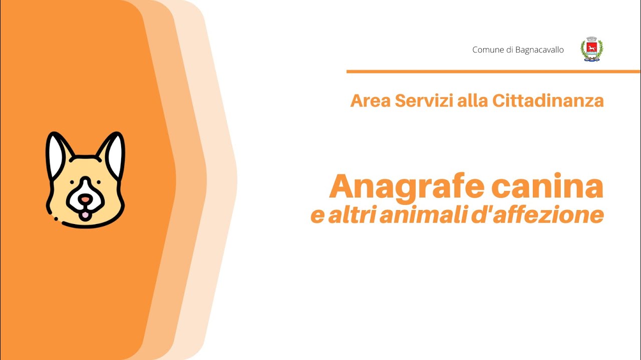 Registrare il cane