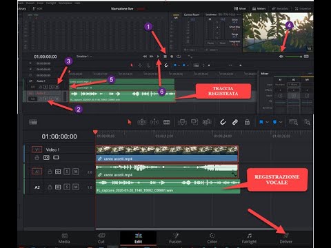 Registrare davinci resolve