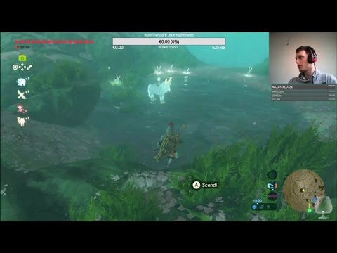 Registrare lord zelda