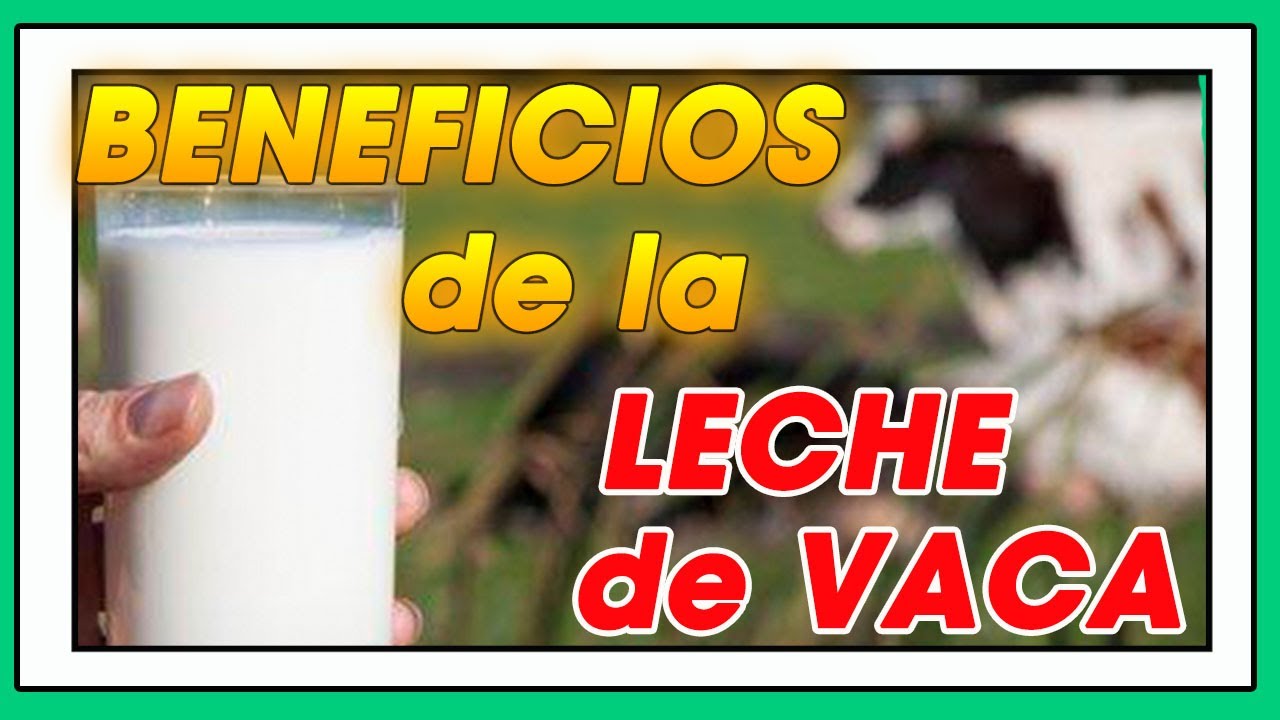 ¿Cuáles son los beneficios de la leche de vaca?