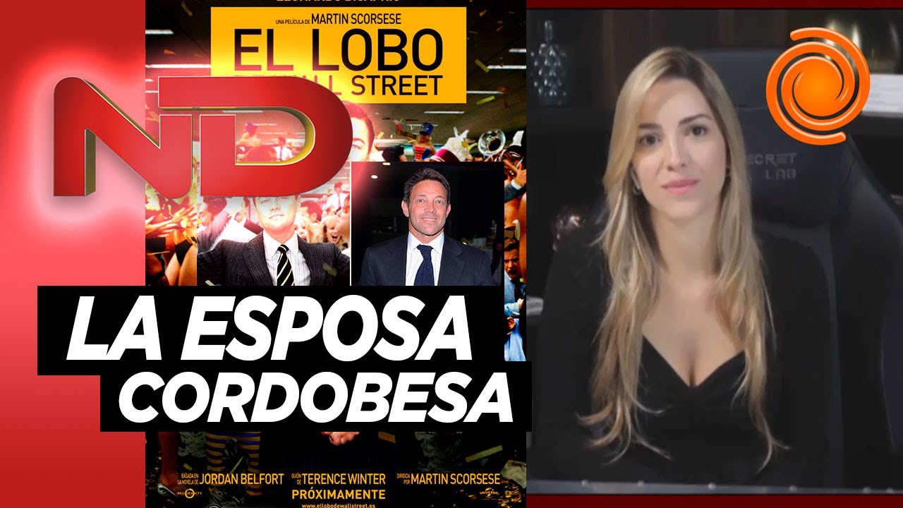 ¿Qué carrera estudio El lobo de Wall Street?