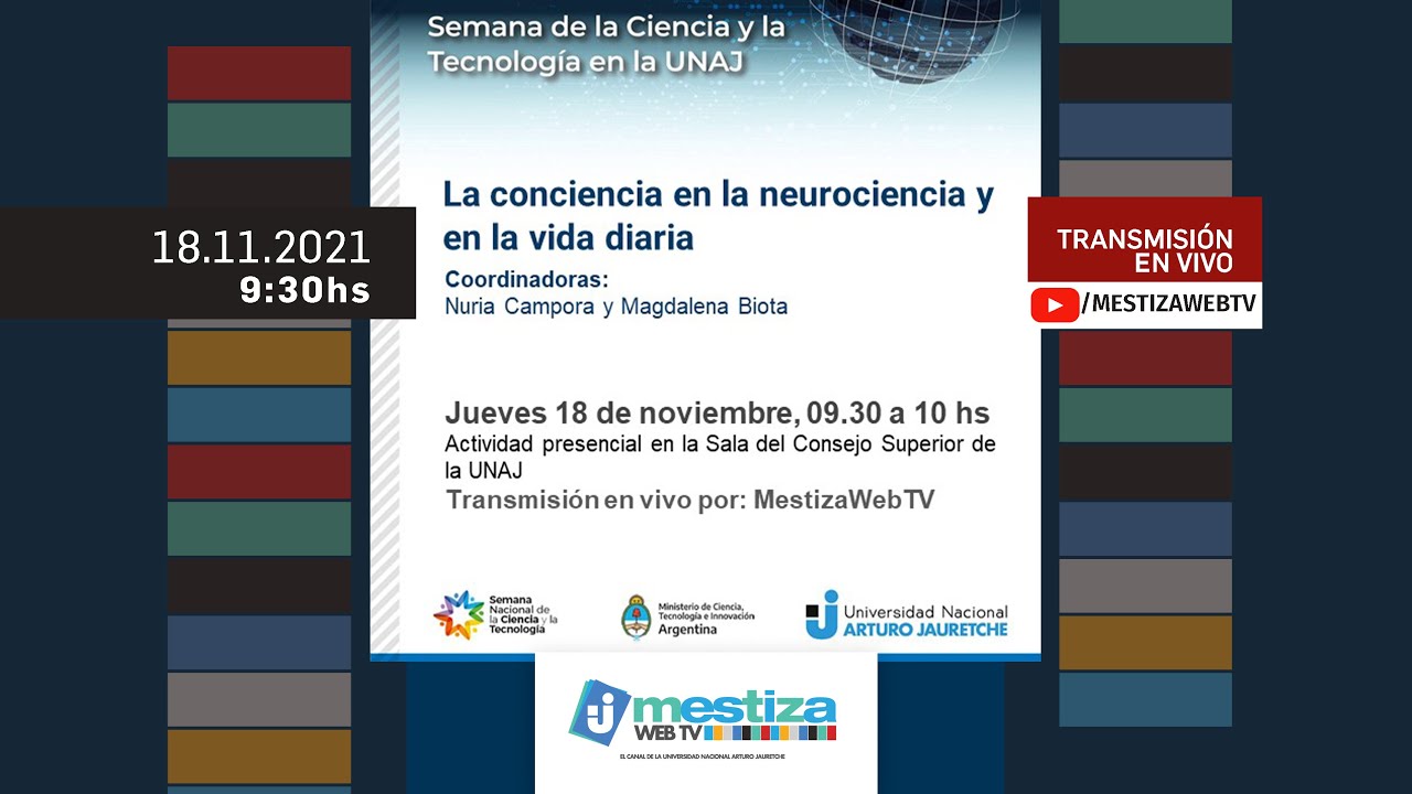 ¿Qué es la conciencia y que utilidad tiene en su vida diaria?