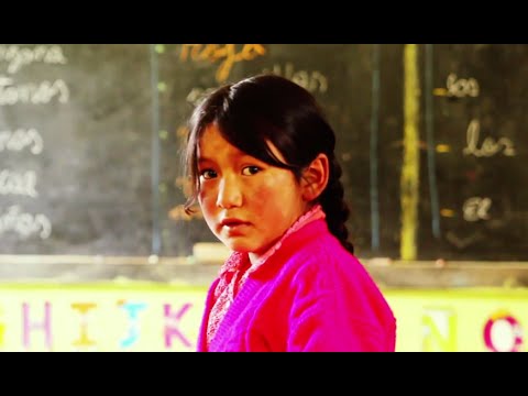 ¿Cuántos niños abandonan sus estudios?