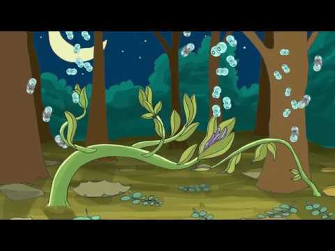 ¿Qué beneficios tiene un árbol de los organismos de su entorno?