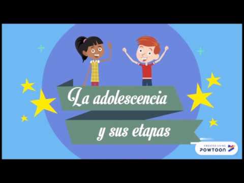 ¿Cuáles son las 4 etapas de la adolescencia?