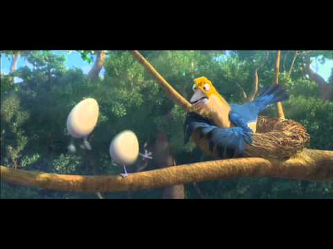 ¿Qué tipo de pájaro es el de la película Río?