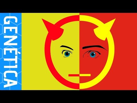 ¿Cómo eran los ojos del hijo del Hombre?