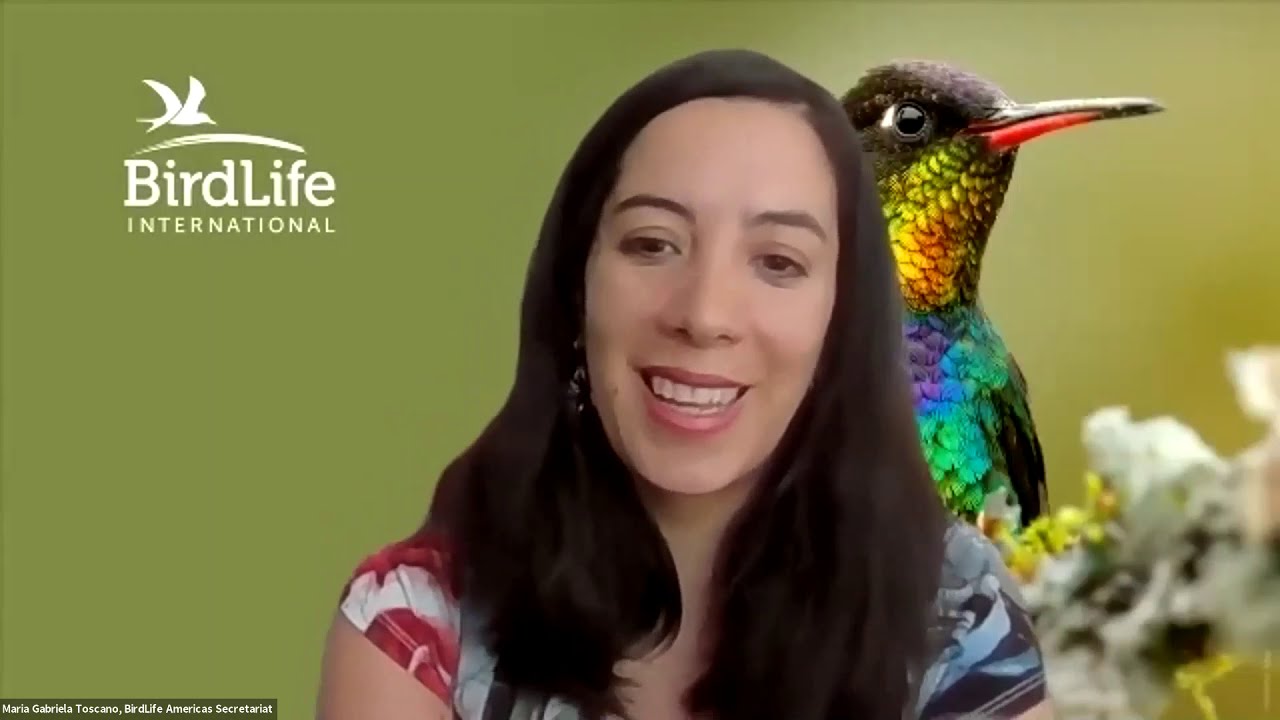 ¿Por qué son importantes las aves?