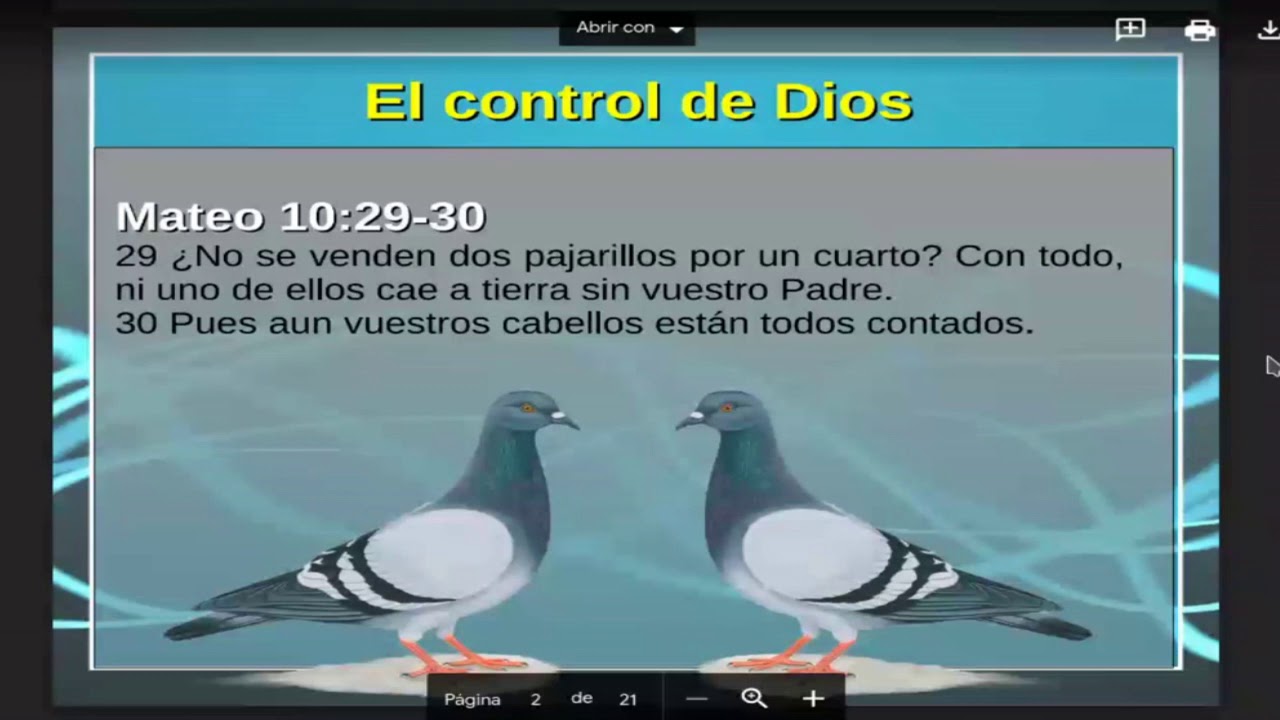 ¿Qué dice Mateo 10 29?