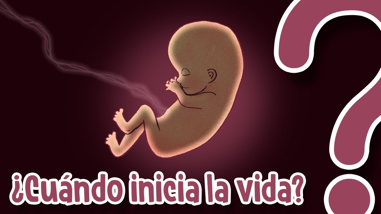 ¿Cómo se considera la vida?