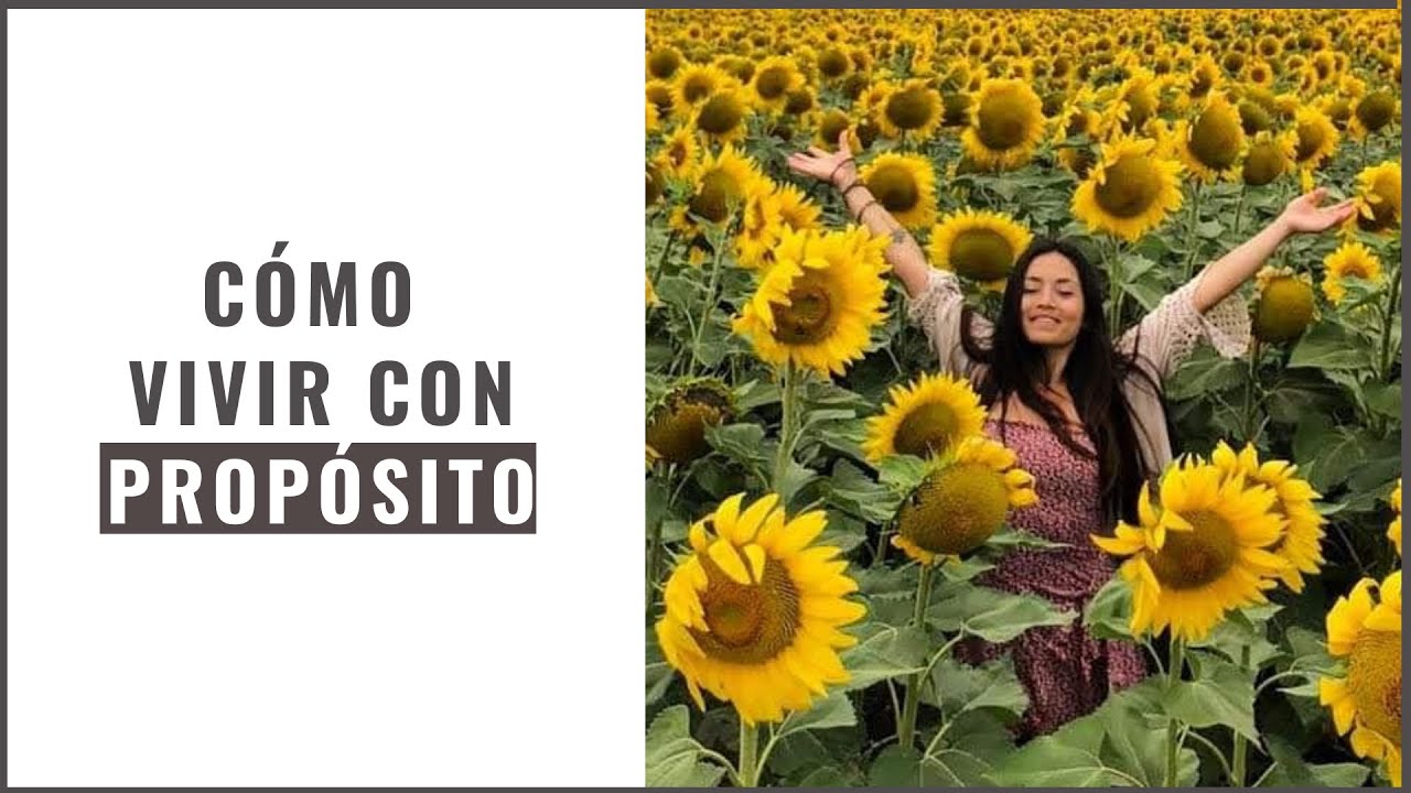 ¿Cuál es el propósito de mi vida?