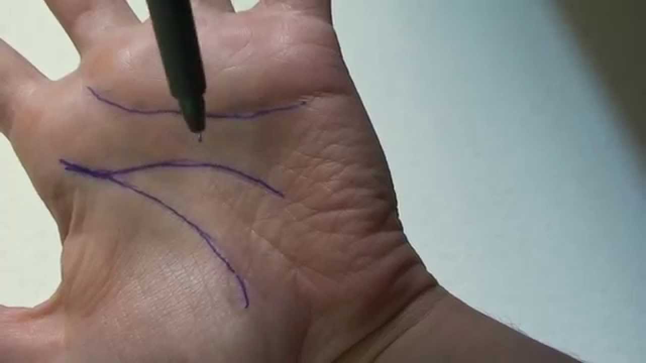 ¿Dónde me pueden leer la mano?