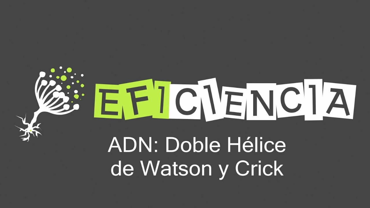 ¿Cómo se llama la doble helice del ADN?