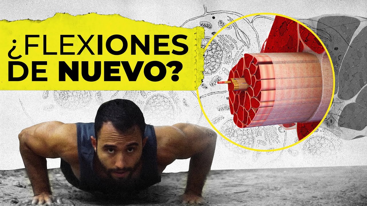 ¿Qué pasa si haces pesas todos los días?