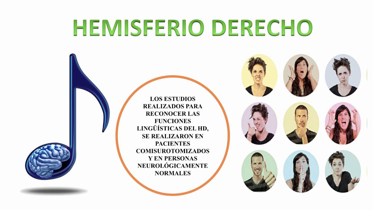¿Cuáles son las características del hemisferio izquierdo?