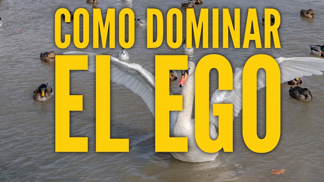 ¿Cómo tratar a un hombre con el ego muy alto?