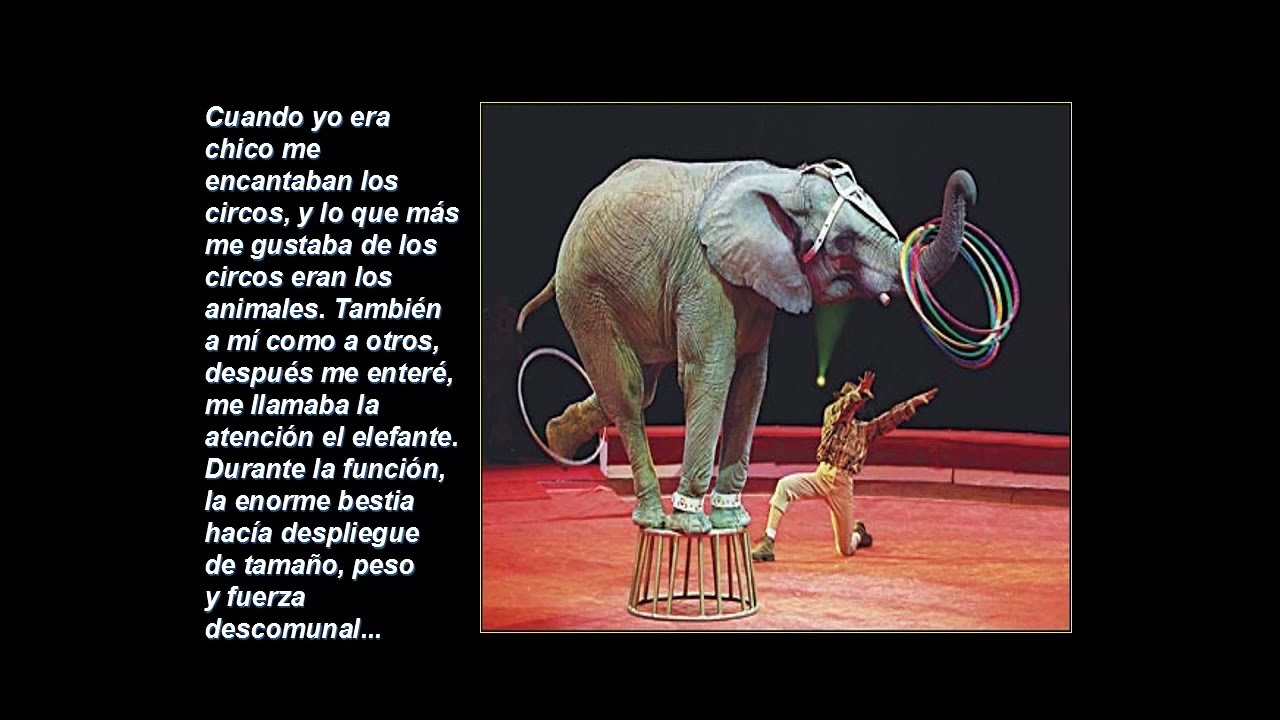¿Qué representa el elefante encadenado?