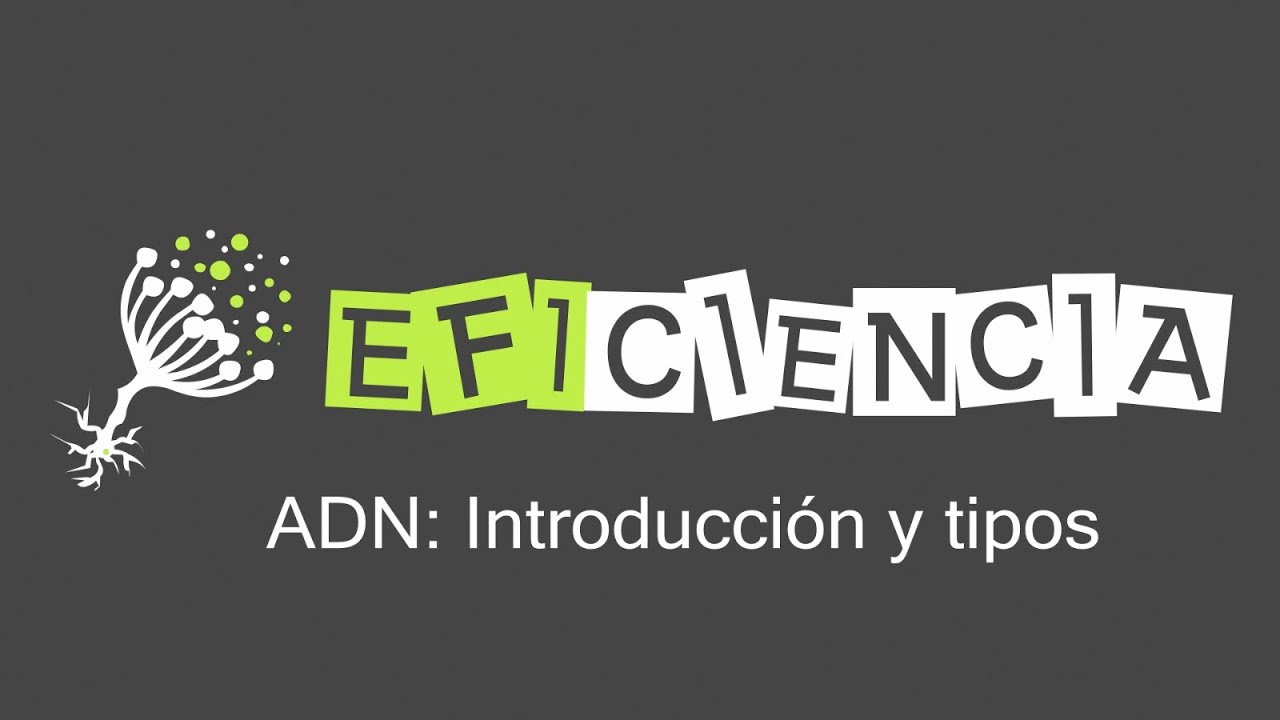 ¿Qué tipo de hélice tiene el ADN?