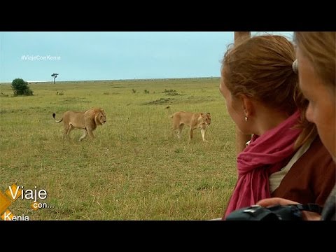 ¿Por que viajar con nosotros?