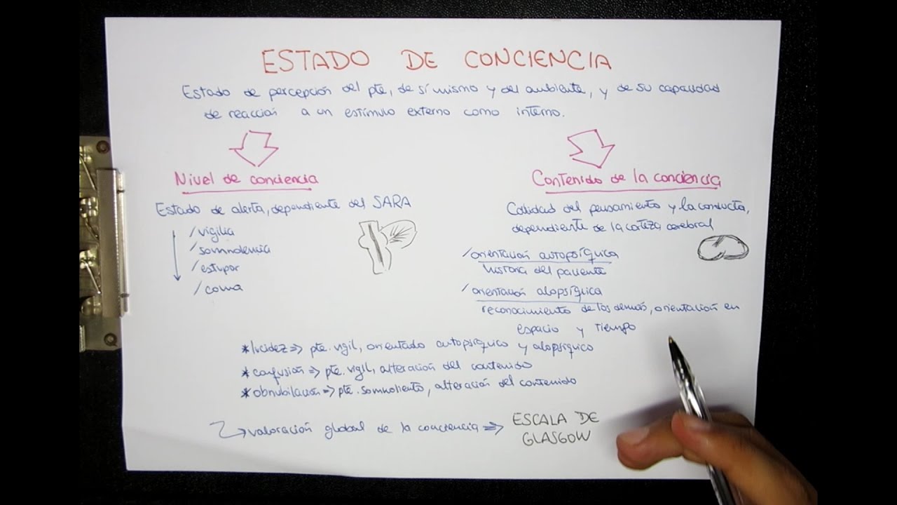 ¿Cuál es la división del estado de conciencia?