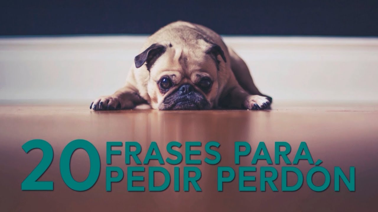 ¿Que decir para perdonar?