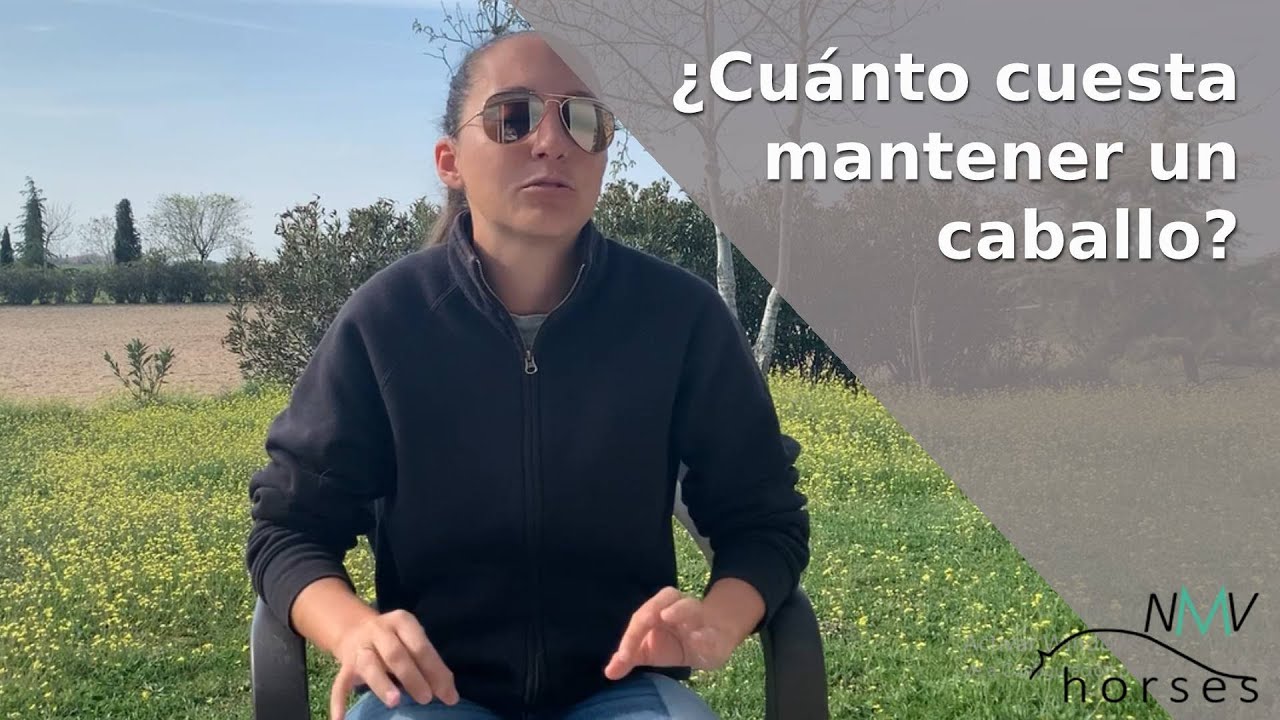 ¿Cuánto puede costar un caballo?