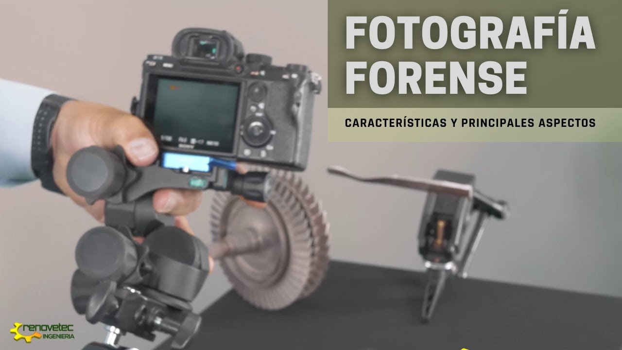¿Cuáles son las principales características de la fotografía?