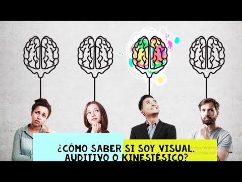 ¿Cómo identificar a una persona auditiva?