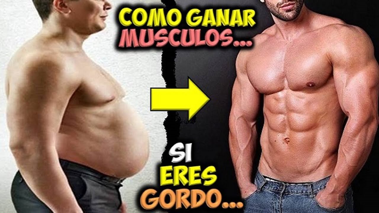 ¿Cómo ganar musculo si soy obeso?