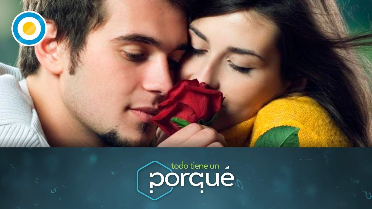 ¿Cómo se le llama a las personas que se enamoran con facilidad?