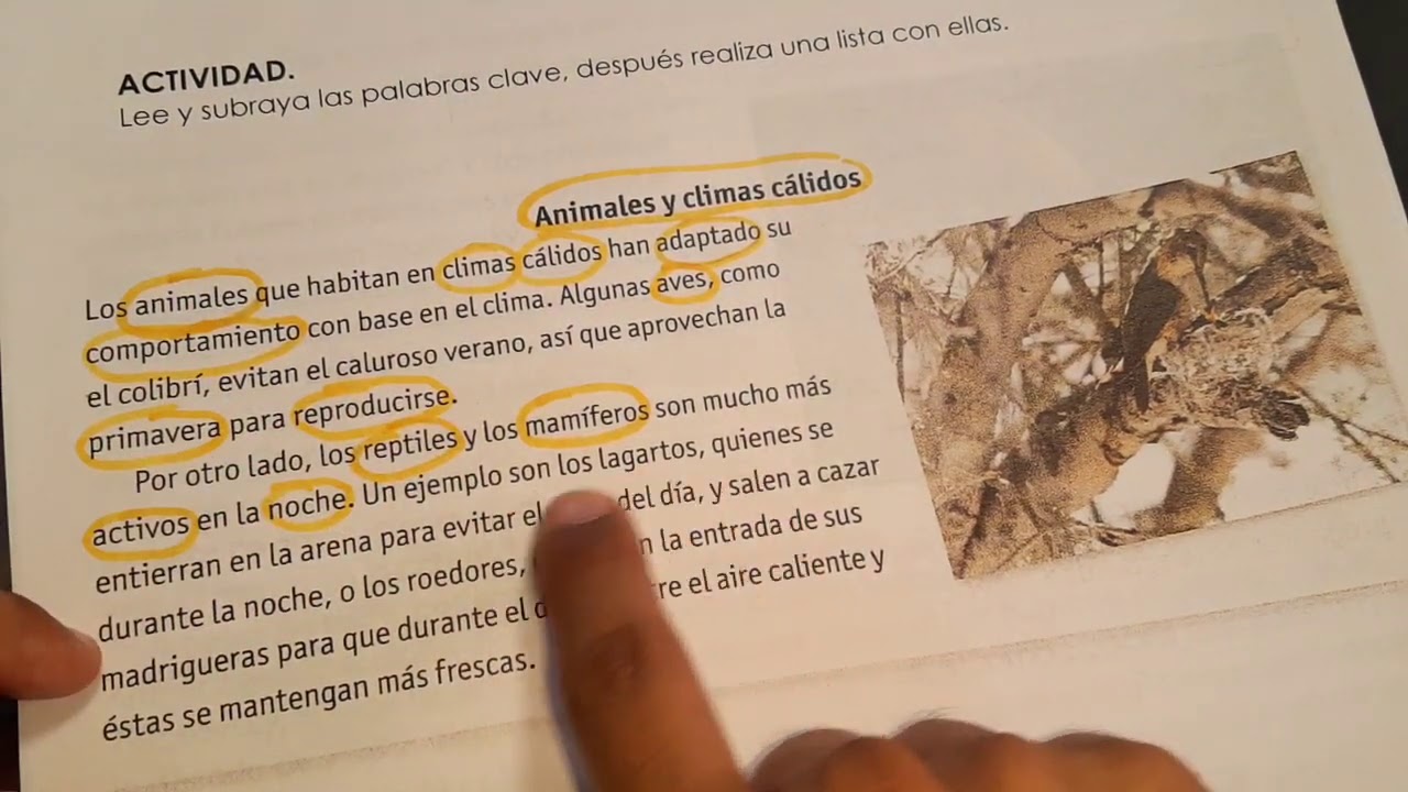 ¿Cómo identificar las palabras clave?