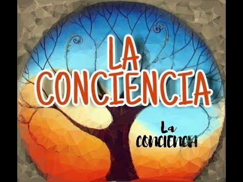 ¿Qué es la conciencia y tipos de conciencia?