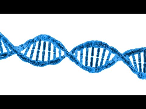 ¿Cómo saber si es mi hijo por rasgos físicos?