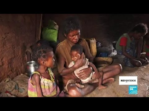 ¿Cuántos días se necesitan para morir de hambre?