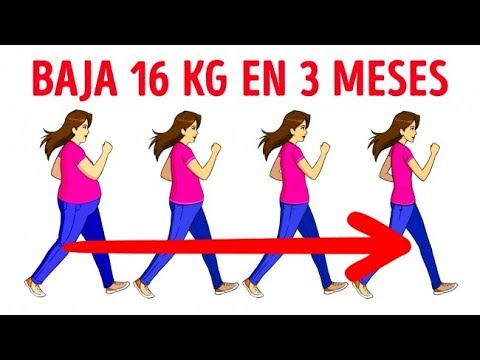 ¿Cuántos kilos se bajan caminando 1 hora por día?