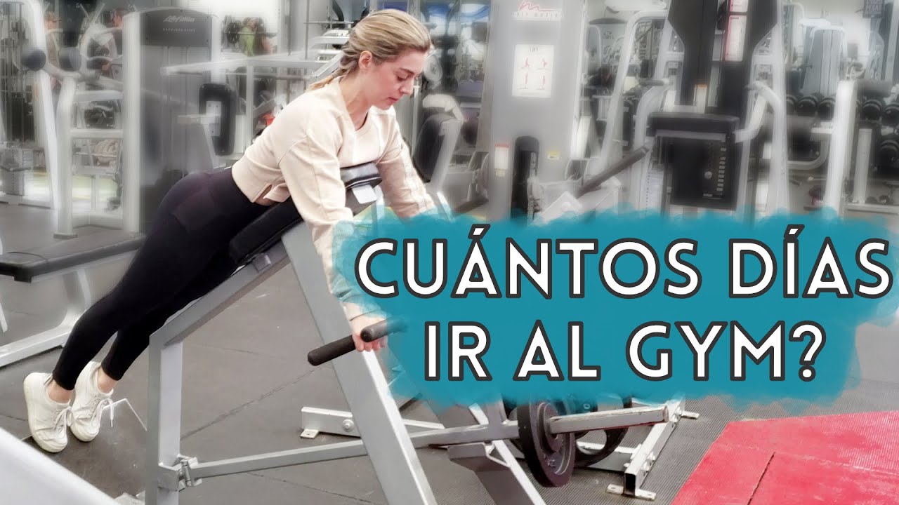 ¿Cuántos días a la semana se debe ir al gym?
