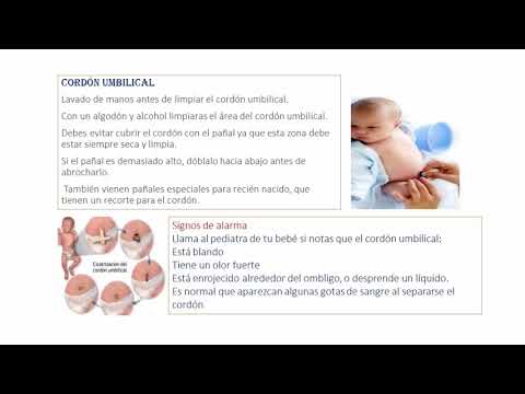 ¿Cuál es la zona de confort de un adolescente?