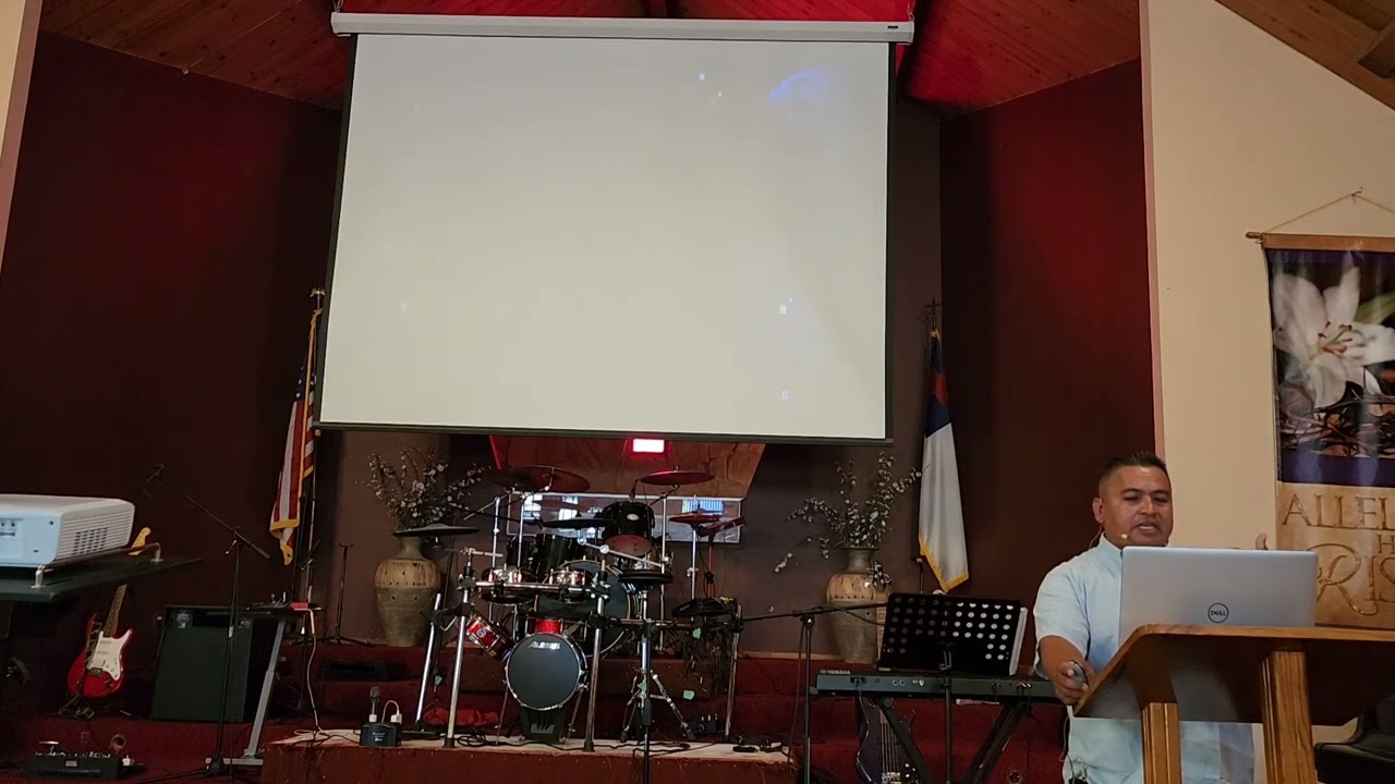 ¿Qué características identifican a los líderes proactivos?