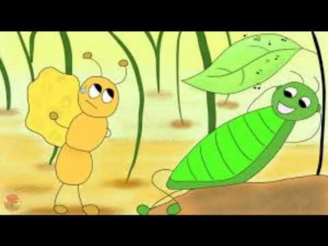 ¿Cuál es el valor de la cigarra y la hormiga?