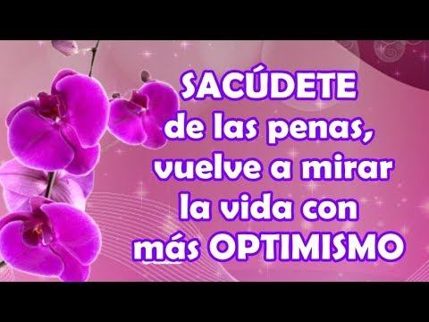 ¿Cuando una familia se rompe frases?