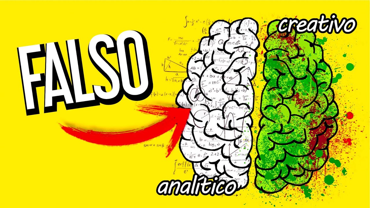¿Qué controla el lado izquierdo del cerebro?