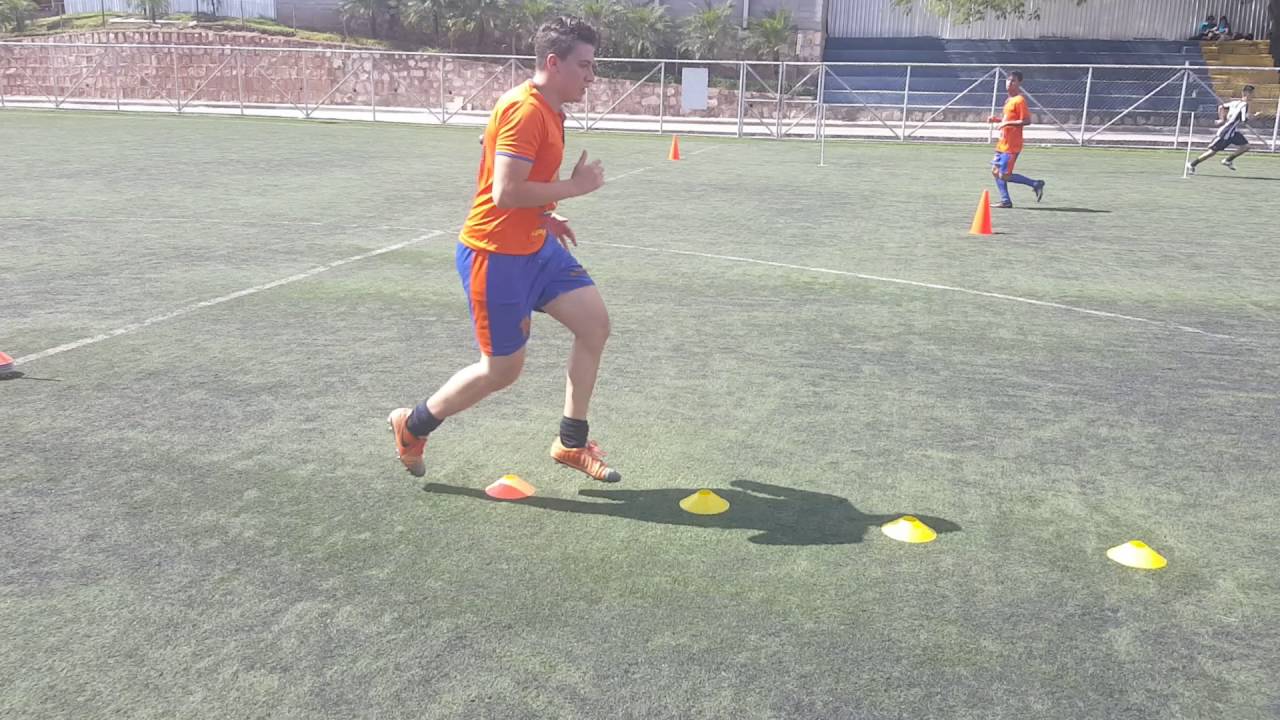 ¿Qué es el entrenamiento físico y sus tipos?
