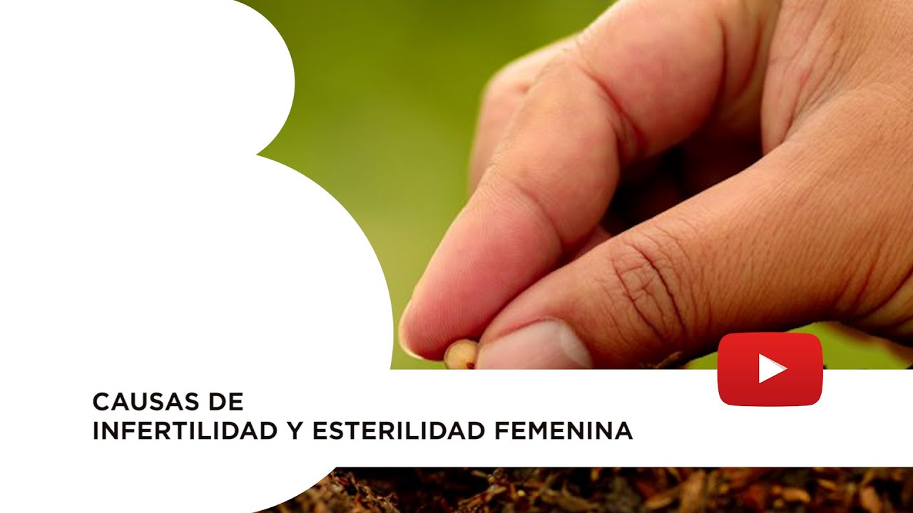 ¿Qué cosas te pueden dejar esteril?