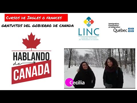 ¿Qué cursos ofrece el gobierno?