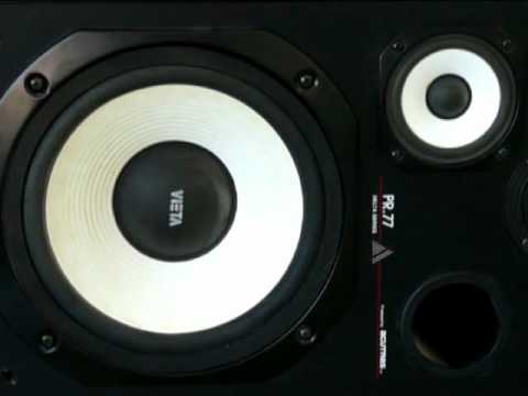 ¿Qué es la vibración del sonido?