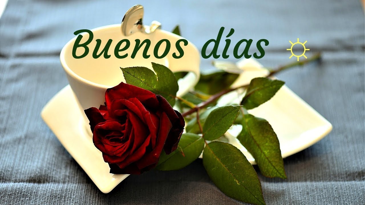 ¿Cómo enviar buenos deseos a alguien?